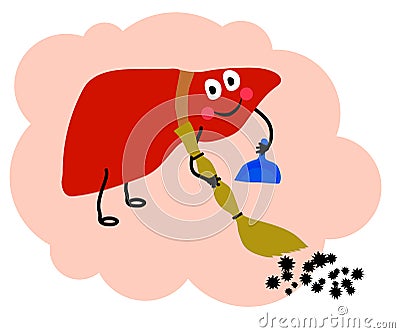 The liver removes toxins from the body. Cleanse the body of harmful substances. Vector Vector Illustration